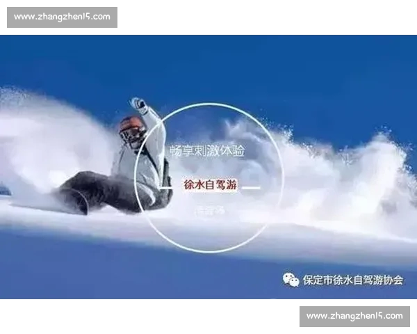 官方正版体育平台APP下载入口畅享实时赛事比分直播互动体验